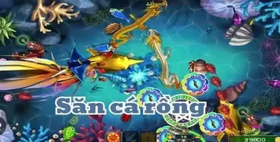 Săn Cá Rồng